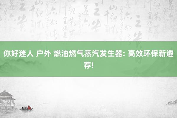 你好迷人 户外 燃油燃气蒸汽发生器: 高效环保新遴荐!