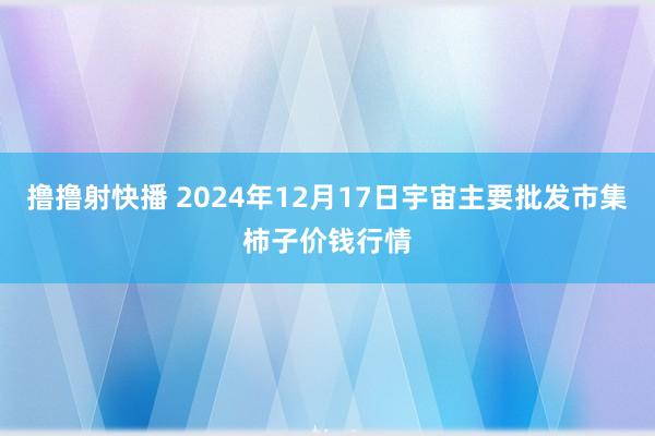 撸撸射快播 2024年12月17日宇宙主要批发市集柿子价钱行情