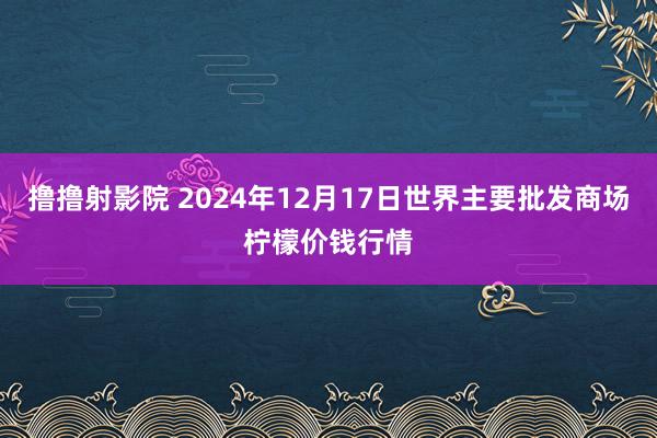 撸撸射影院 2024年12月17日世界主要批发商场柠檬价钱行情