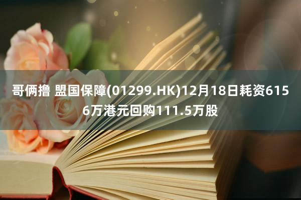 哥俩撸 盟国保障(01299.HK)12月18日耗资6156万港元回购111.5万股