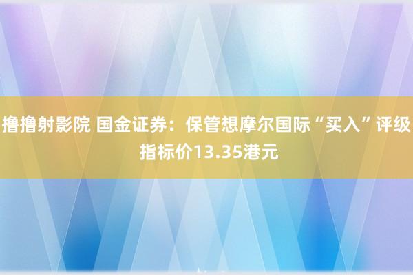 撸撸射影院 国金证券：保管想摩尔国际“买入”评级 指标价13.35港元