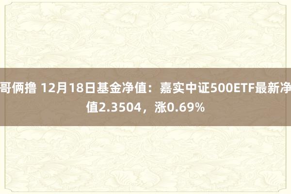 哥俩撸 12月18日基金净值：嘉实中证500ETF最新净值2.3504，涨0.69%