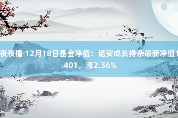 夜夜撸 12月18日基金净值：诺安成长搀杂最新净值1.401，涨2.56%