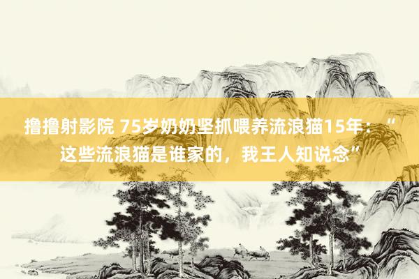 撸撸射影院 75岁奶奶坚抓喂养流浪猫15年：“这些流浪猫是谁家的，我王人知说念”