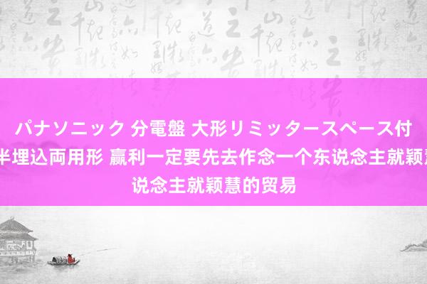 パナソニック 分電盤 大形リミッタースペース付 露出・半埋込両用形 赢利一定要先去作念一个东说念主就颖慧的贸易