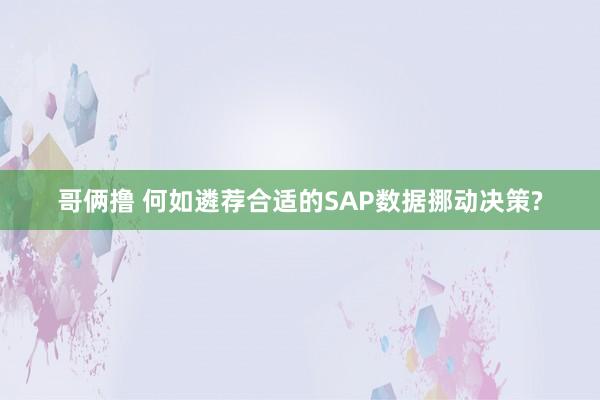 哥俩撸 何如遴荐合适的SAP数据挪动决策?