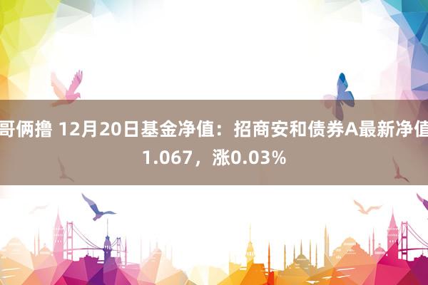 哥俩撸 12月20日基金净值：招商安和债券A最新净值1.067，涨0.03%