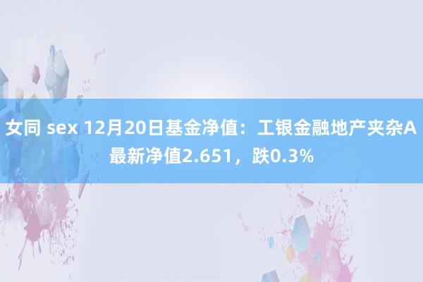 女同 sex 12月20日基金净值：工银金融地产夹杂A最新净值2.651，跌0.3%