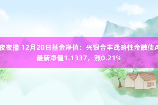 夜夜撸 12月20日基金净值：兴银合丰战略性金融债A最新净值1.1337，涨0.21%