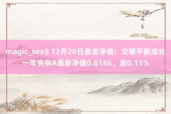 magic_sex5 12月20日基金净值：交银平衡成长一年夹杂A最新净值0.8186，涨0.11%