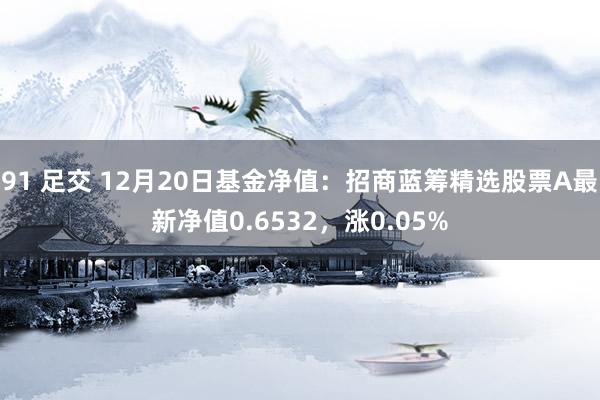 91 足交 12月20日基金净值：招商蓝筹精选股票A最新净值0.6532，涨0.05%