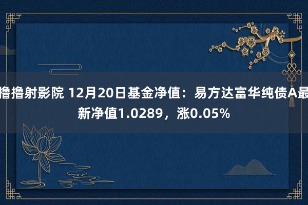 撸撸射影院 12月20日基金净值：易方达富华纯债A最新净值1.0289，涨0.05%