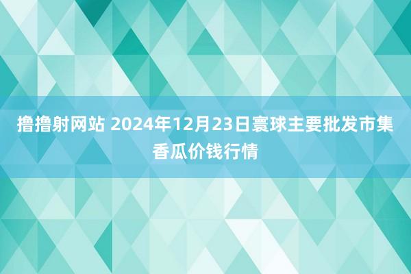 撸撸射网站 2024年12月23日寰球主要批发市集香瓜价钱行情