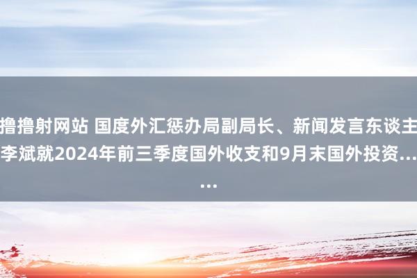 撸撸射网站 国度外汇惩办局副局长、新闻发言东谈主李斌就2024年前三季度国外收支和9月末国外投资...