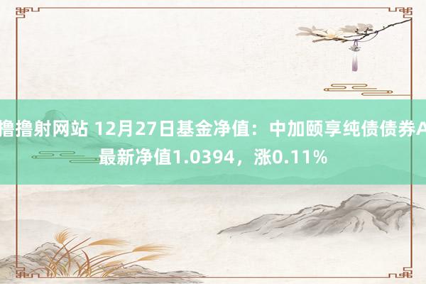 撸撸射网站 12月27日基金净值：中加颐享纯债债券A最新净值1.0394，涨0.11%