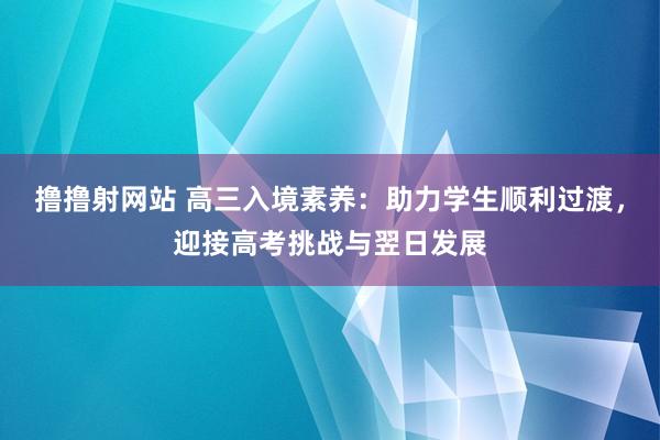 撸撸射网站 高三入境素养：助力学生顺利过渡，迎接高考挑战与翌日发展