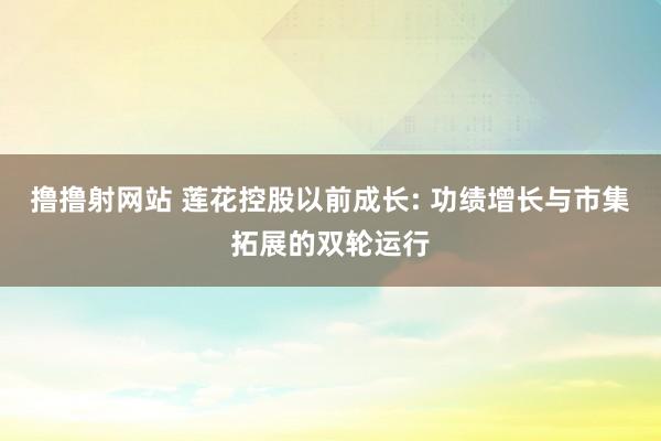 撸撸射网站 莲花控股以前成长: 功绩增长与市集拓展的双轮运行