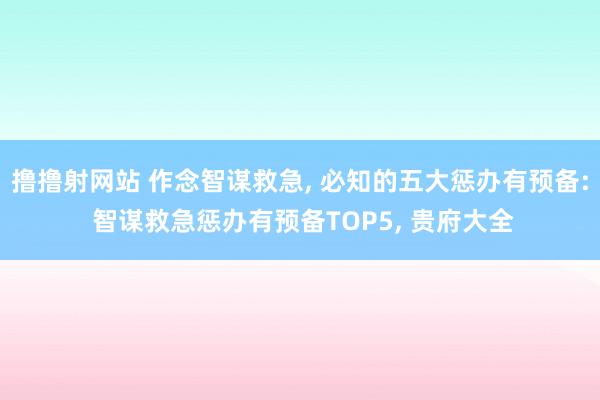 撸撸射网站 作念智谋救急， 必知的五大惩办有预备: 智谋救急惩办有预备TOP5， 贵府大全