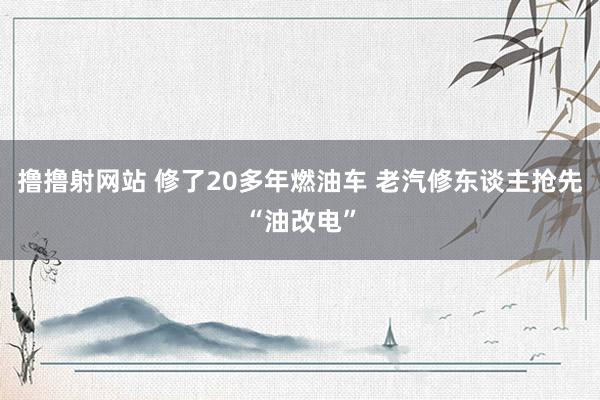 撸撸射网站 修了20多年燃油车 老汽修东谈主抢先“油改电”