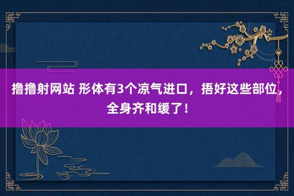 撸撸射网站 形体有3个凉气进口，捂好这些部位，全身齐和缓了！