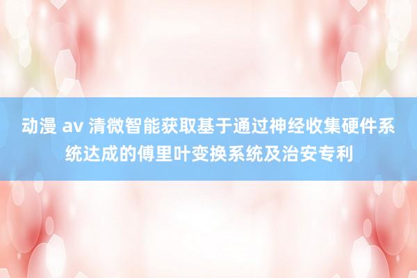 动漫 av 清微智能获取基于通过神经收集硬件系统达成的傅里叶变换系统及治安专利