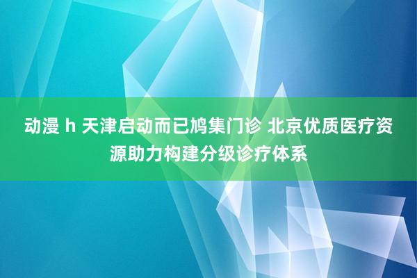 动漫 h 天津启动而已鸠集门诊 北京优质医疗资源助力构建分级诊疗体系