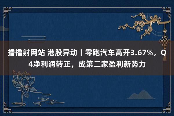 撸撸射网站 港股异动丨零跑汽车高开3.67%，Q4净利润转正，成第二家盈利新势力