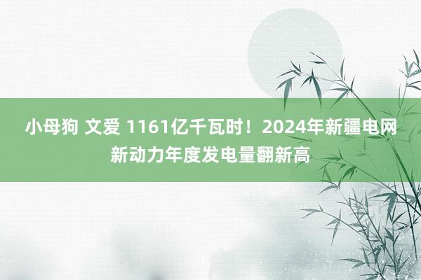 小母狗 文爱 1161亿千瓦时！2024年新疆电网新动力年度发电量翻新高