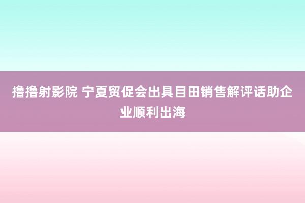 撸撸射影院 宁夏贸促会出具目田销售解评话助企业顺利出海